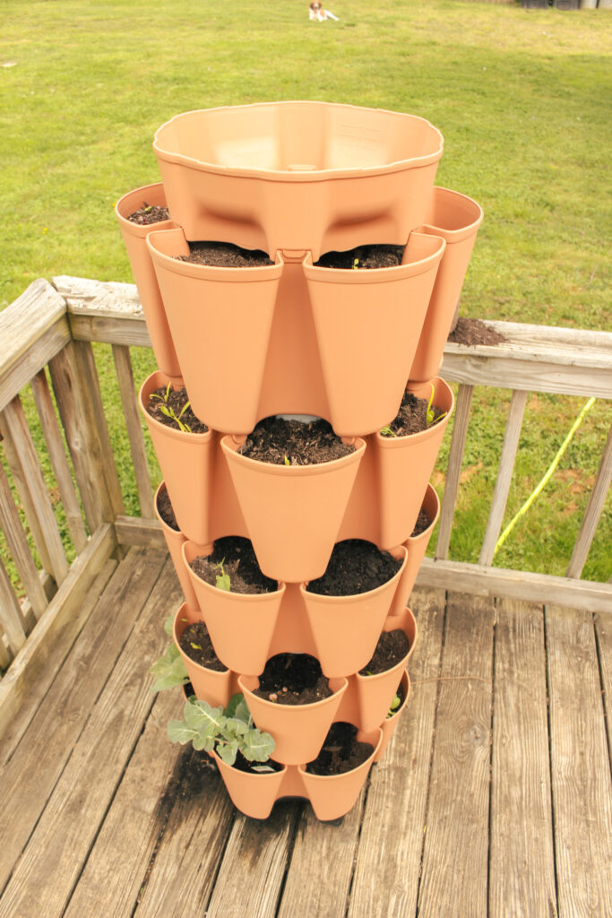 greenstalk vertical gardening system looking down from above
