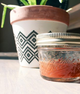 quarter pint mason jar with apple cider vinegar sore throat treatment in front of aloe vera plant