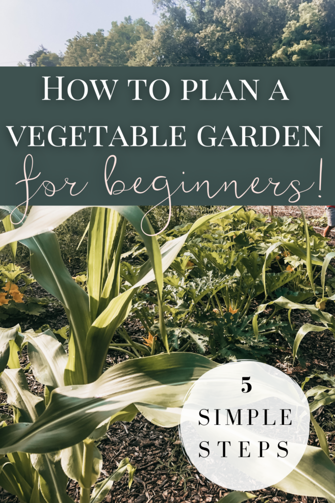 pin image for how to plan a vegetable garden for beginners five simple steps