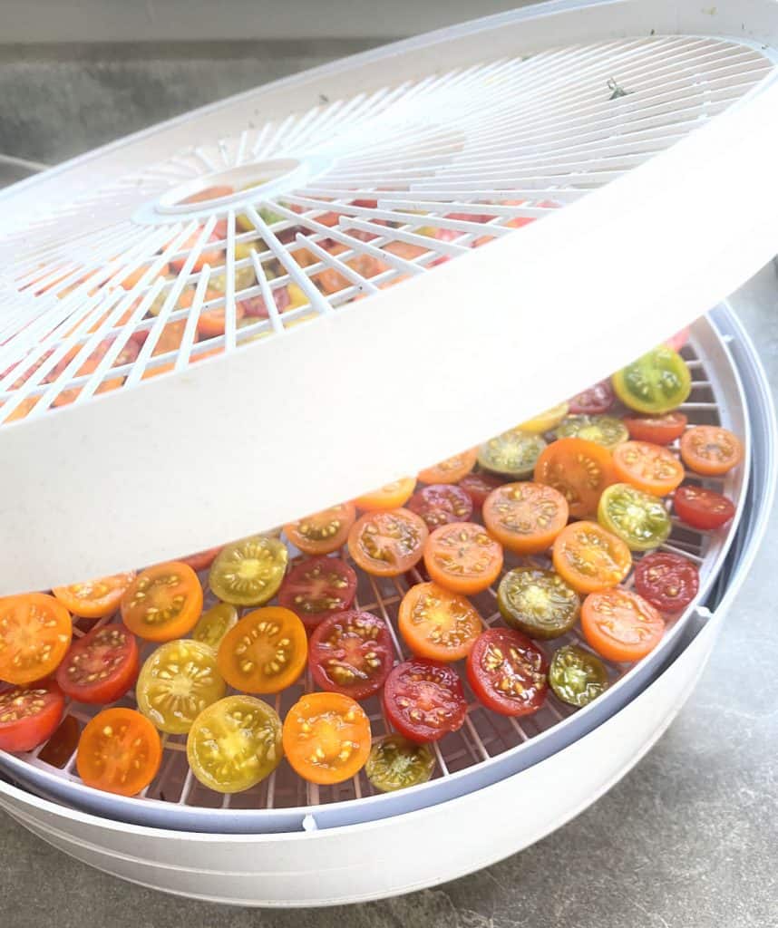 sliced multi colored cherry tomatoes in small dehydrator