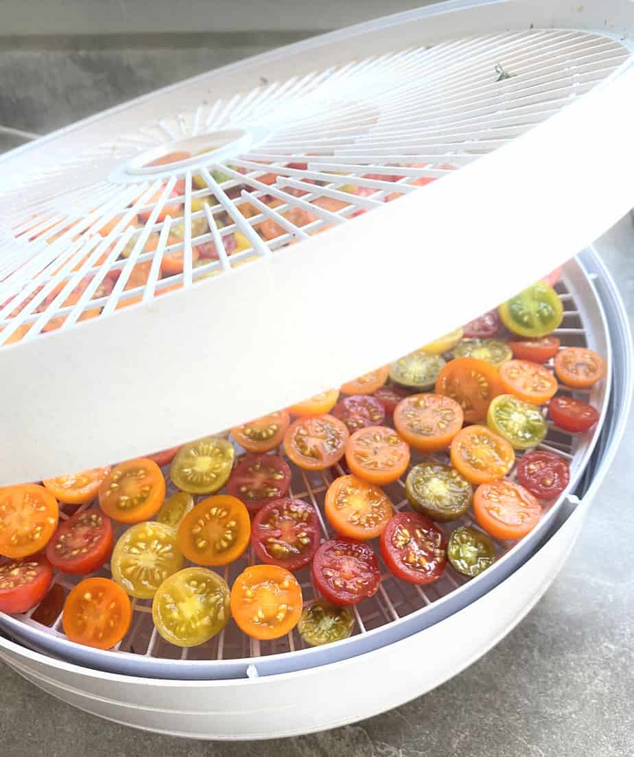 Best Food Dehydrator Under $100: A Review