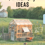 14 frugal homesteading ideas that anyone can do pin image