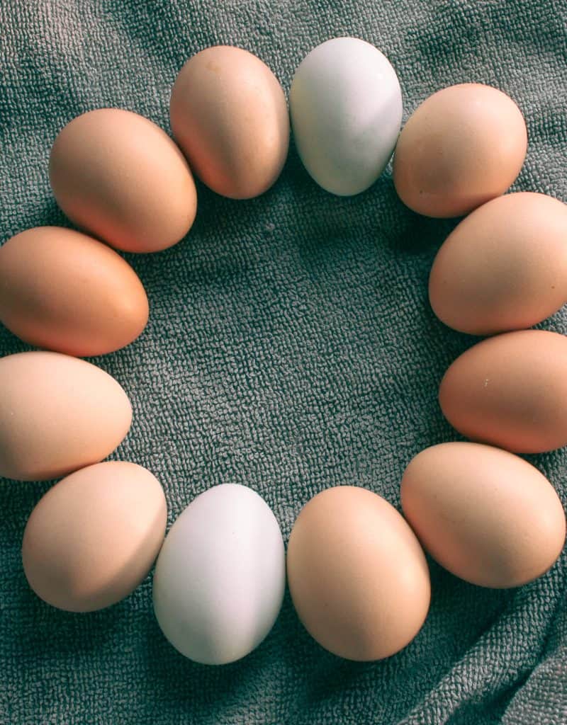 assorted chicken eggs arranged in a circle
