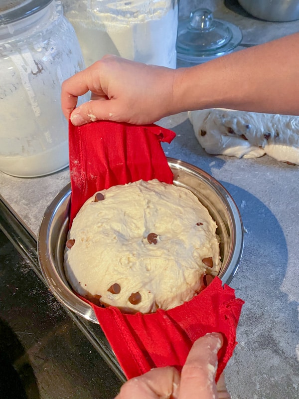 sourdough with chocolate chips being lifted out of bowl