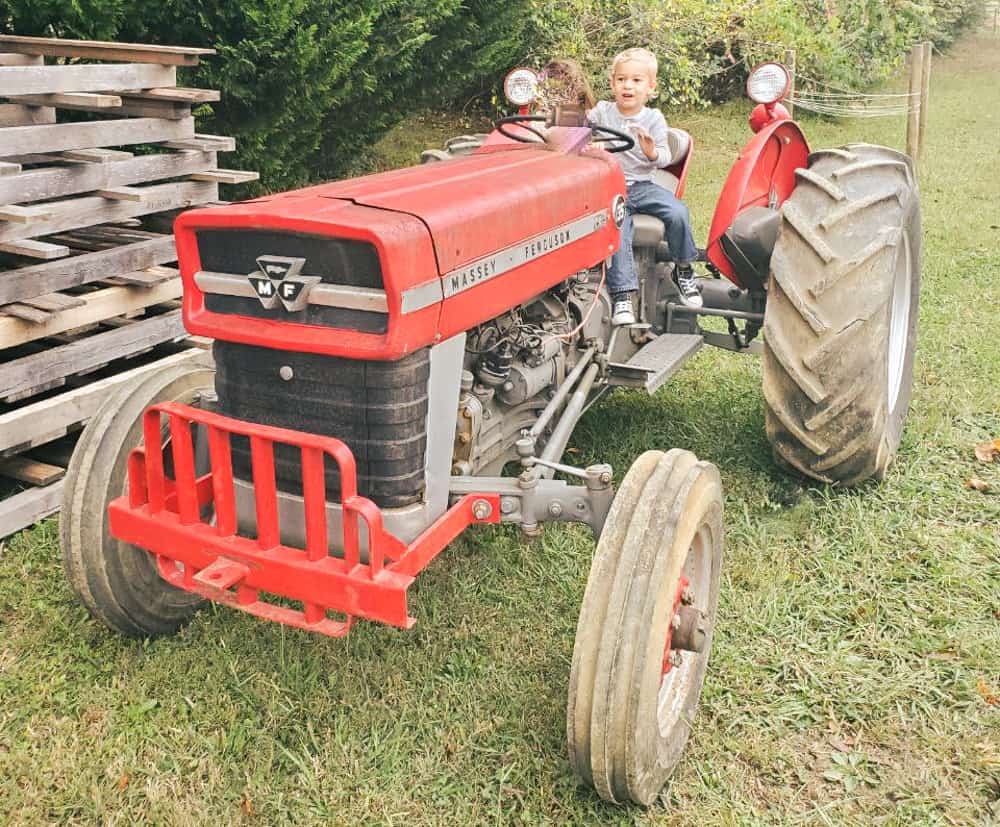 old red massey tractor with toddler sitting on it