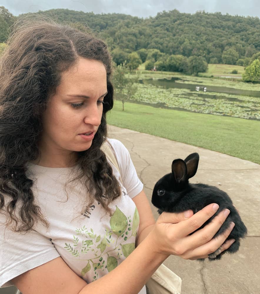 black baby rabbit held by woman