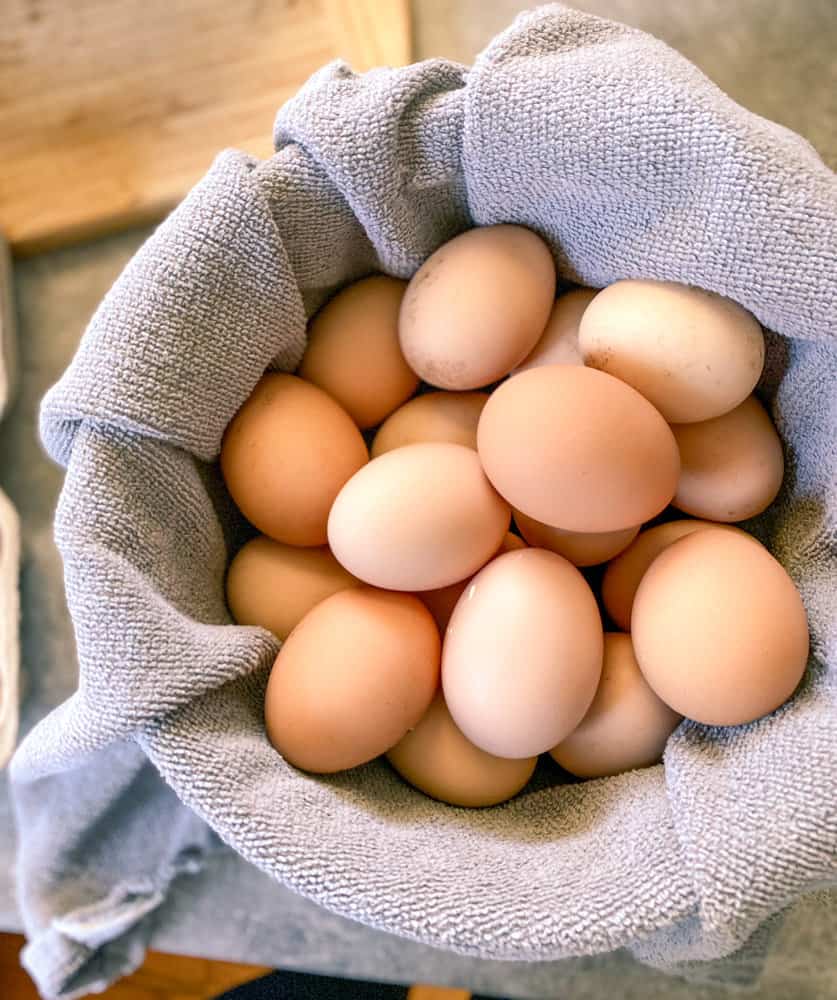 farm fresh chicken eggs in basket with towel