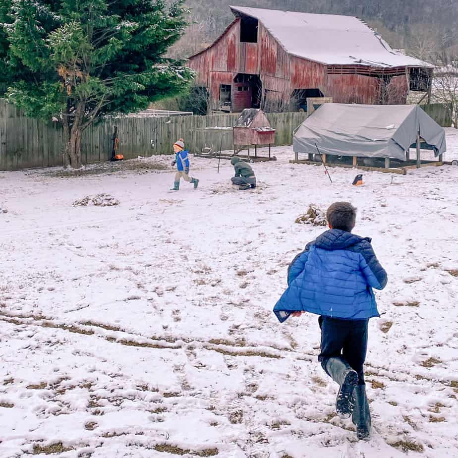 children running around chicken coop in snow