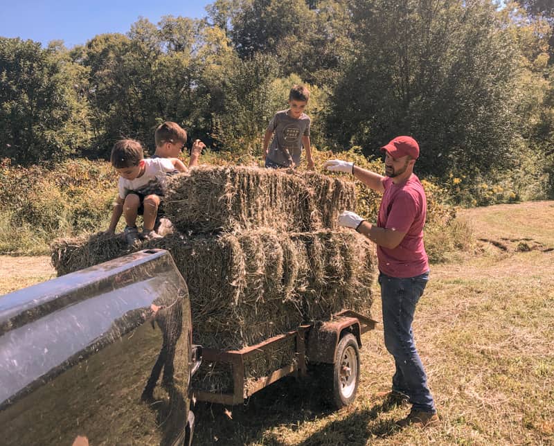 man loading square hay bales on trailer with children