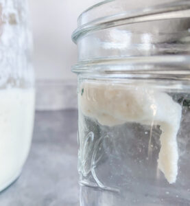 Sourdough Float Test: How To Tell If Your Starter Is Ready