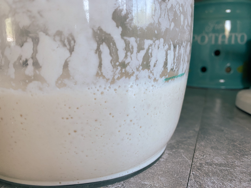 How To Use A Sourdough Starter (Complete Guide)