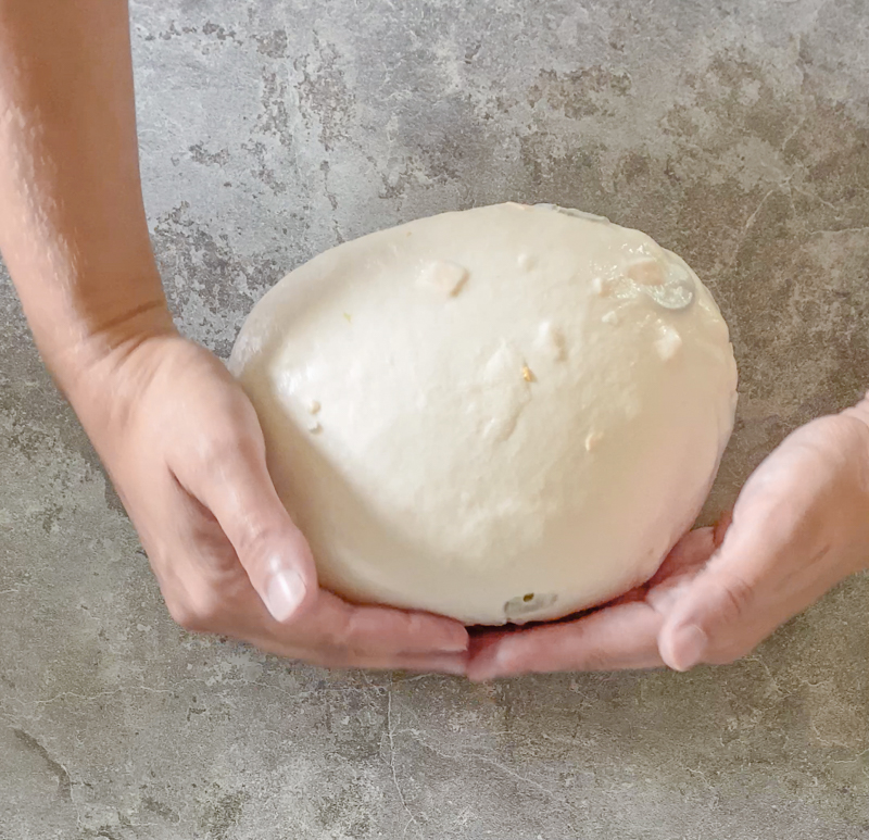 jalapeño cheddar sourdough bread being shaped on counter