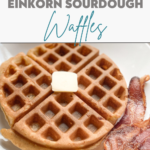Einkorn sourdough waffles pin image