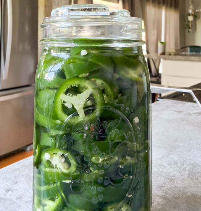 Jalapeños in a jar covered in brine, and topped with a fermentation weight.