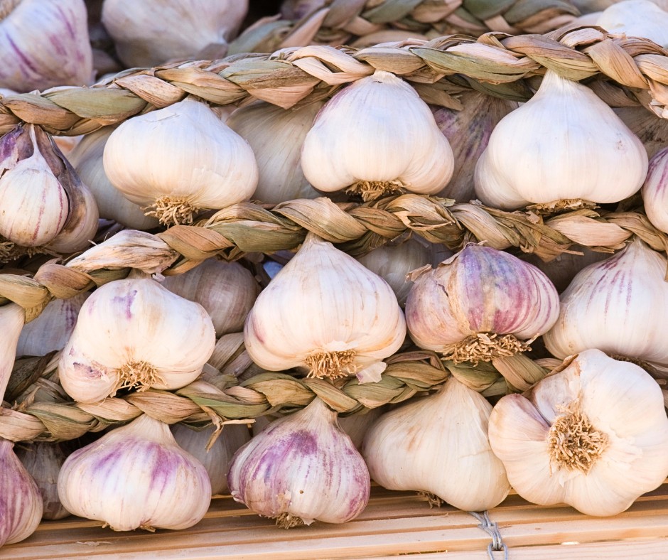 Garlic in a braid