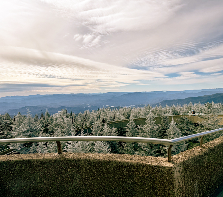 Frost covered evergreen trees on top of a mountain overlook.